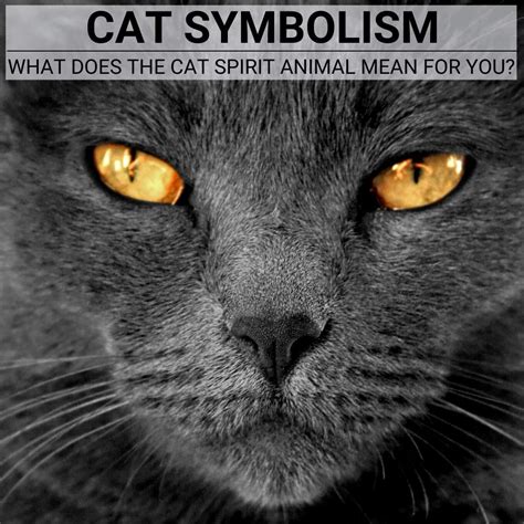 The Influence of Egyptian Cats on Modern Pagan Practices